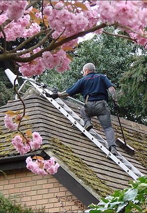 Our staff cleaning the moss from a roof in Gidea Park near Romford
